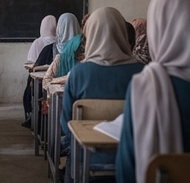 Students seated in rows in a classroom, seen from behind